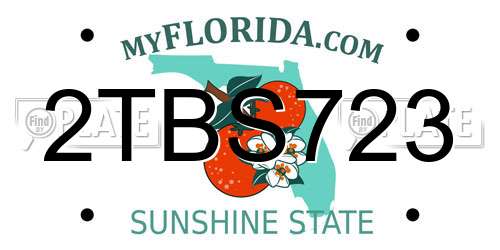 2TBS723 Florida License Plate