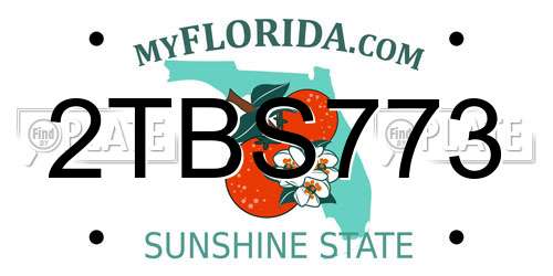 2TBS773 Florida License Plate