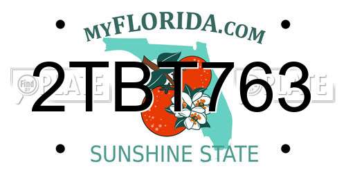 2TBT763 Florida License Plate