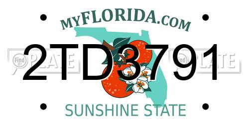 2TD3791 Florida License Plate