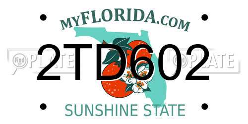 2TD602 Florida License Plate