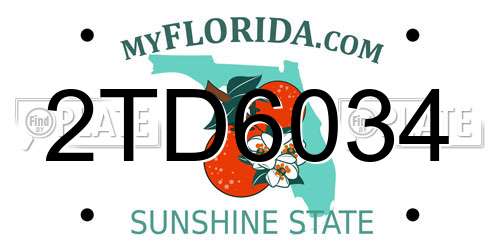 2TD6034 Florida License Plate
