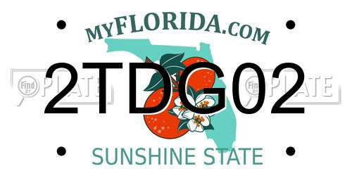 2TDG02 Florida License Plate