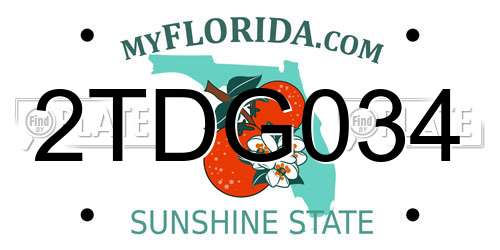 2TDG034 Florida License Plate
