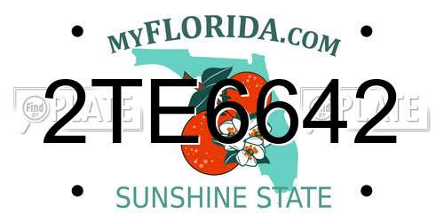 2TE6642 Florida License Plate