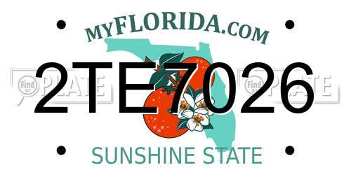 2TE7026 Florida License Plate