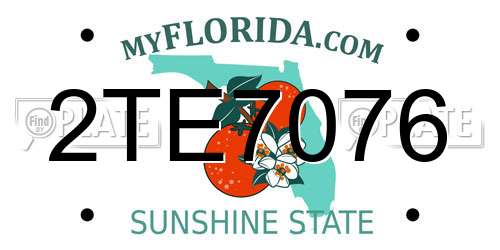 2TE7076 Florida License Plate
