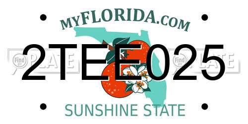 2TEE025 Florida License Plate
