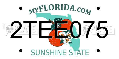 2TEE075 Florida License Plate