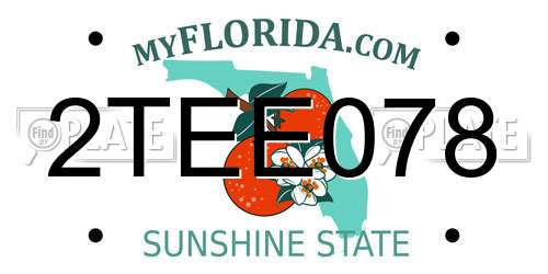 2TEE078 Florida License Plate