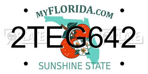 2TEG642 Florida License Plate