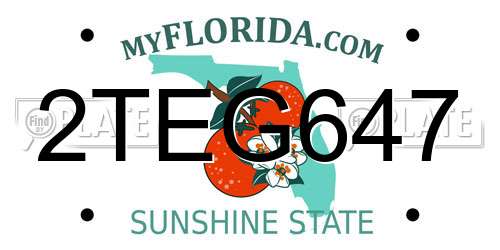 2TEG647 Florida License Plate