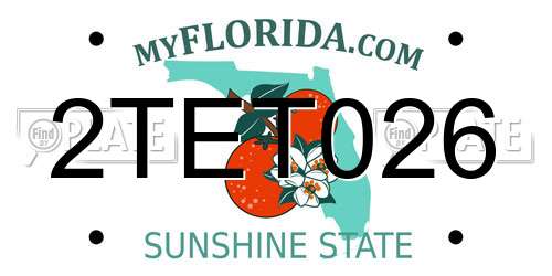 2TET026 Florida License Plate