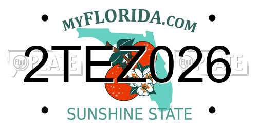 2TEZ026 Florida License Plate