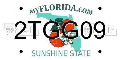 2TGG09 Florida License Plate