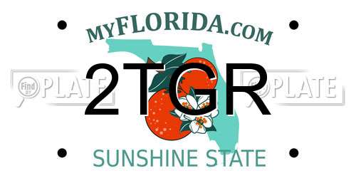 2TGR Florida License Plate