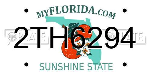 2TH6294 Florida License Plate