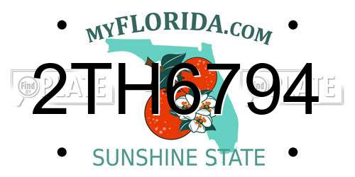 2TH6794 Florida License Plate