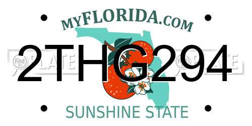 2THG294 Florida License Plate