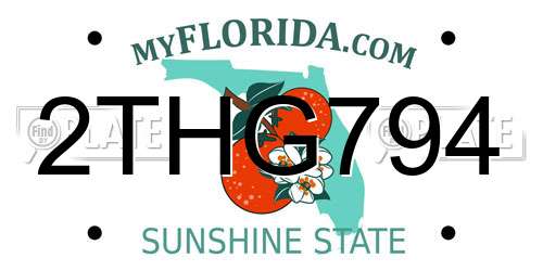 2THG794 Florida License Plate