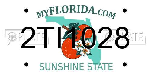 2TI1028 Florida License Plate