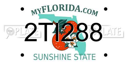 2TI288 Florida License Plate