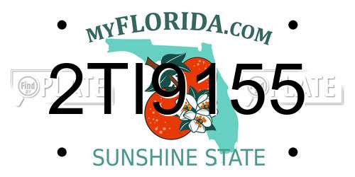 2TI9155 Florida License Plate