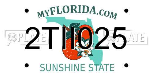 2TII025 Florida License Plate