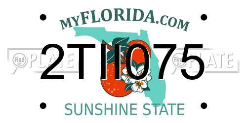 2TII075 Florida License Plate