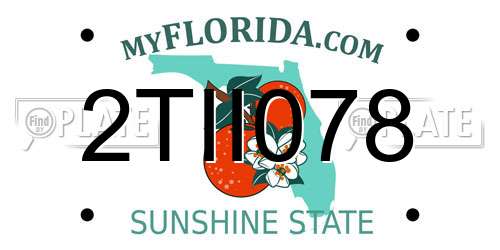 2TII078 Florida License Plate