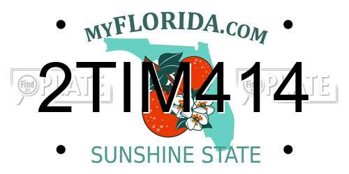 2TIM414 Florida License Plate