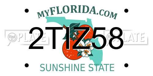 2TIZ58 Florida License Plate