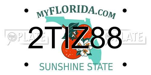 2TIZ88 Florida License Plate