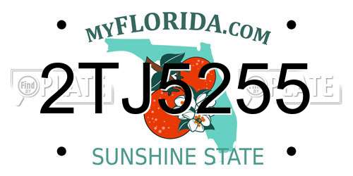 2TJ5255 Florida License Plate