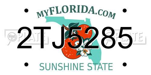 2TJ5285 Florida License Plate