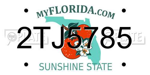 2TJ5785 Florida License Plate