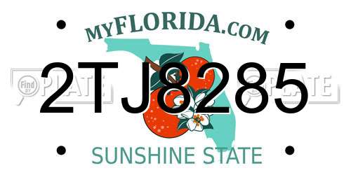 2TJ8285 Florida License Plate