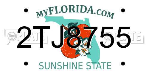 2TJ8755 Florida License Plate