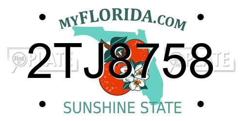 2TJ8758 Florida License Plate