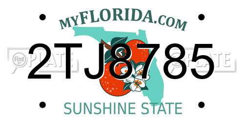 2TJ8785 Florida License Plate
