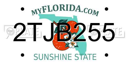 2TJB255 Florida License Plate