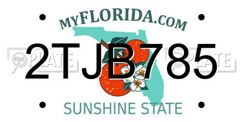 2TJB785 Florida License Plate