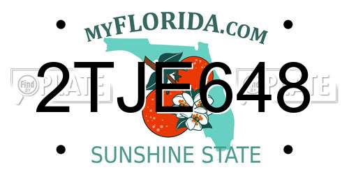 2TJE648 Florida License Plate