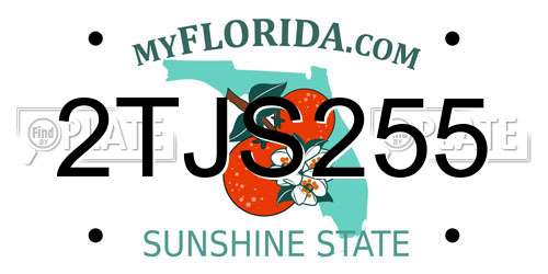 2TJS255 Florida License Plate