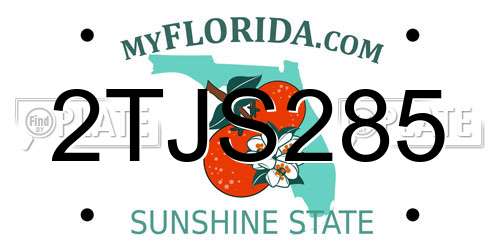 2TJS285 Florida License Plate