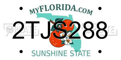 2TJS288 Florida License Plate