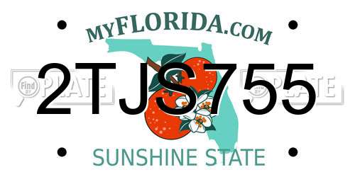 2TJS755 Florida License Plate