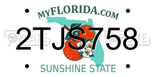 2TJS758 Florida License Plate
