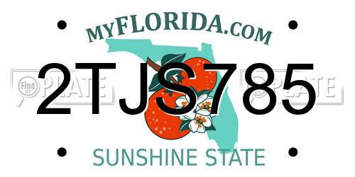2TJS785 Florida License Plate