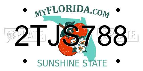 2TJS788 Florida License Plate